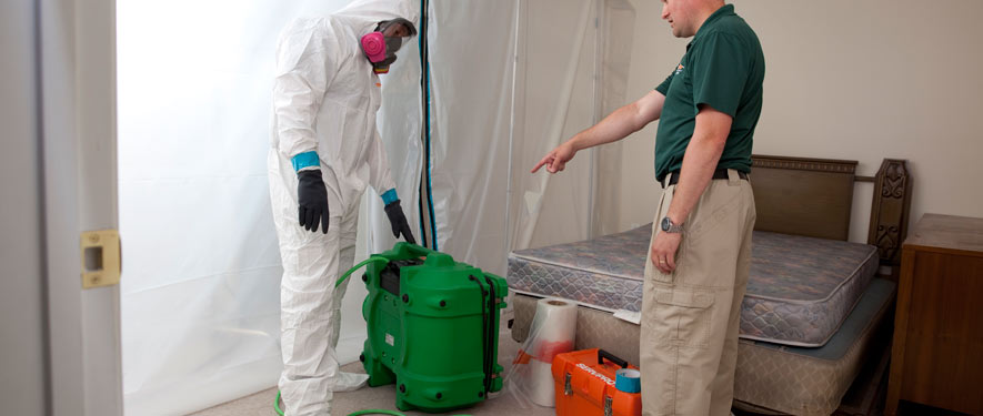 Southwest Las Vegas, NV mold removal process